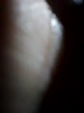 Sandra42 online show from 23, 12, 2025