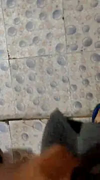 Snapshot of horniestboi chatting on 5, 3, 2025 horniestboi online show from 5, 3, 2025