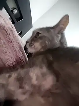 mialorents online show from 23, 11, 2025