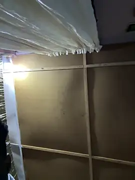 prettybuddyhead1 online show from 6, 3, 2025