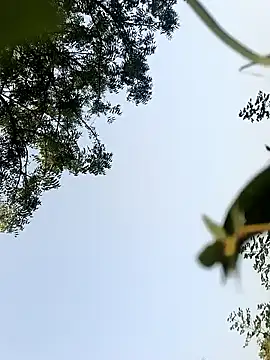 himvilohi08 online show from 22, 10, 2025