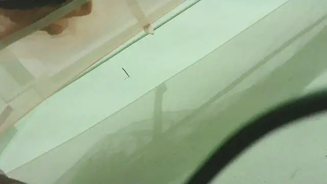 CrazyMove83 online show from 25, 2, 2026