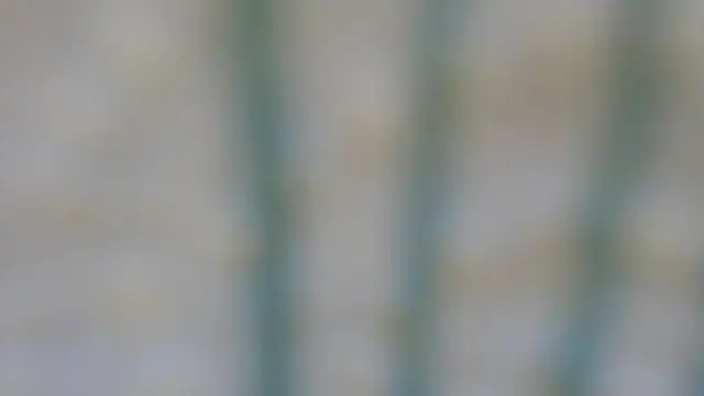 Snapshot of RobertaFox69 chatting on 6, 12, 2024 RobertaFox69 online show from 6, 12, 2024