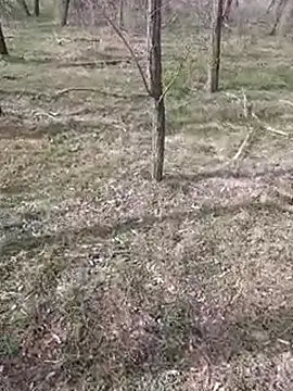 Snapshot of sile47 chatting on 11, 3, 2025 sile47 online show from 11, 3, 2025