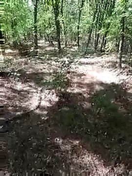 Snapshot of sile47 chatting on 13, 9, 2025 sile47 online show from 13, 9, 2025