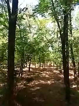 Snapshot of sile47 chatting on 16, 9, 2025 sile47 online show from 16, 9, 2025