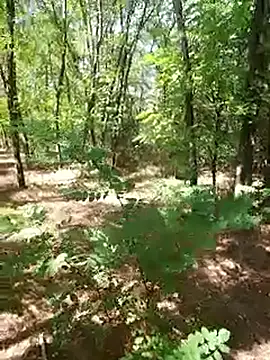 Snapshot of sile47 chatting on 21, 9, 2025 sile47 online show from 21, 9, 2025