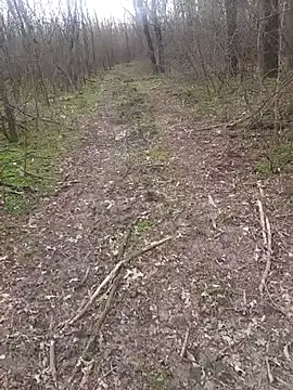 Snapshot of sile47 chatting on 16, 3, 2026 sile47 online show from 16, 3, 2026