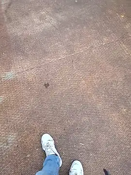 Thunderbolt121 online show from 6, 3, 2026