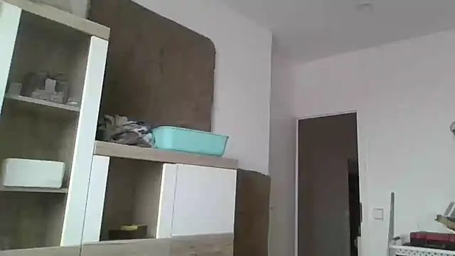 ThePython666 online show from 24, 11, 2025