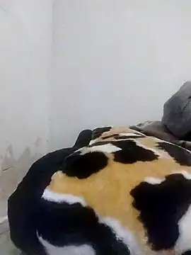 CertifiedSatisfier online show from 29, 10, 2025