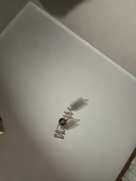 maar tina online show from 13, 10, 2025