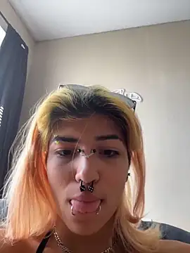 Harley cams online show from 30, 10, 2025