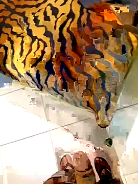 Dglo0000 online show from 28, 2, 2026