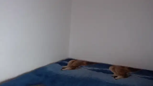 sharon sexy  online show from 23, 11, 2025