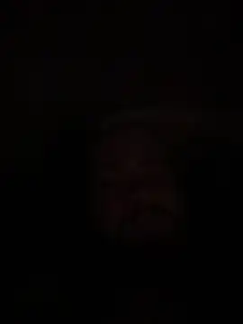 Bear2323 online show from 20, 5, 2026