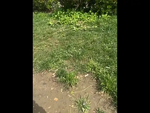 giyasbvnghkgkfk online show from 3, 4, 2026