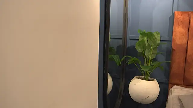 Susan wall online show from 27, 3, 2026