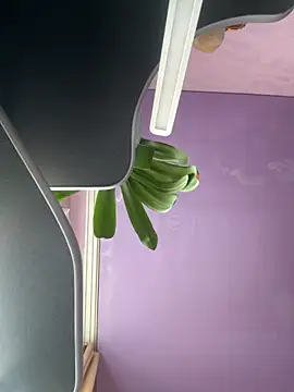 Soft Pleasure online show from 22, 10, 2025