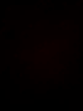 92donis online show from 12, 3, 2026