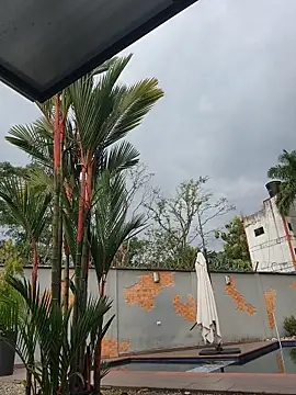 Yessica Lopezz online show from 13, 2, 2026