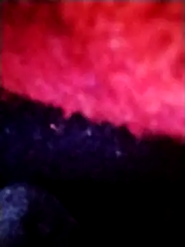 salimbasha online show from 28, 9, 2025