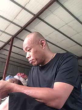FleckedAlbum online show from 18, 6, 2026
