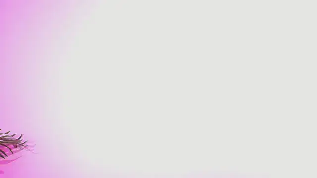 Snapshot of Lana_ortega chatting on 5, 7, 2026 Lana ortega online show from 5, 7, 2026