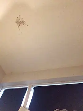 Sissy Cindy Whore online show from 9, 11, 2025