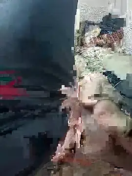 svvagesexyy online show from 13, 1, 2026