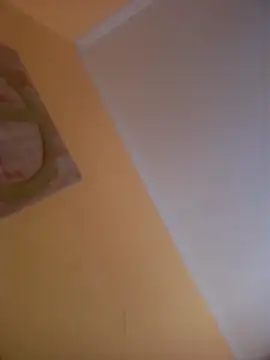 agusttt2667 online show from 5, 3, 2026