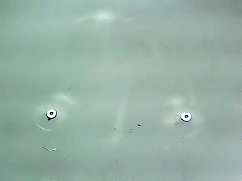 20cmloiro online show from 15, 1, 2026