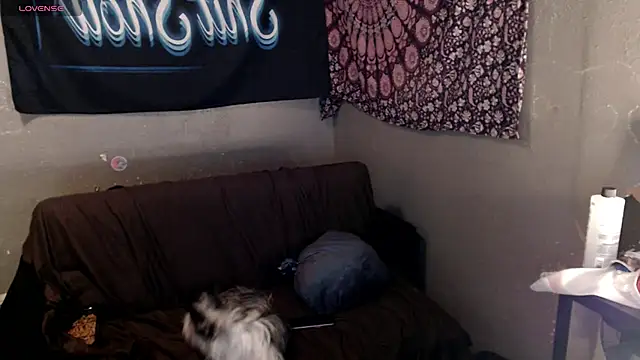 London Ray online show from 15, 4, 2026