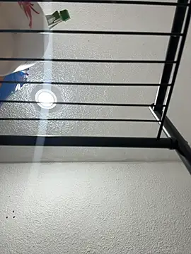 Nia Desire online show from 17, 12, 2025