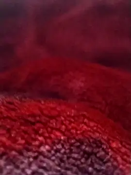 saneer69tew online show from 26, 2, 2026