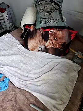 Snapshot of Wilsonn86 chatting on 9, 2, 2026 Wilsonn86 online show from 9, 2, 2026