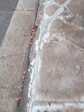 dickcurved38 online show from 20, 2, 2026