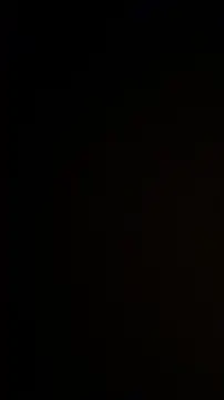 willie896 online show from 4, 12, 2025