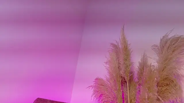 KITY HILL online show from 12, 1, 2026