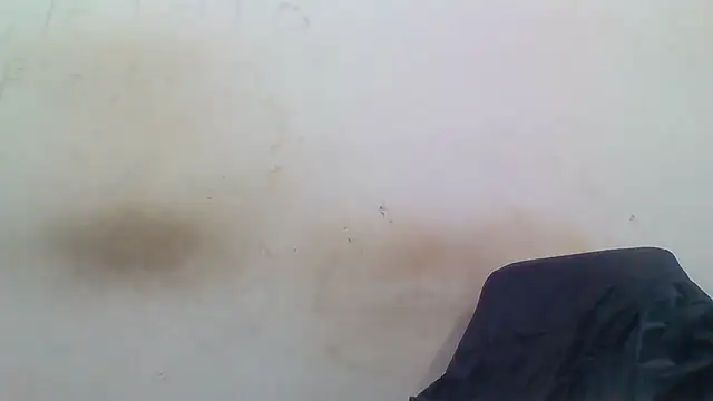 sasatimido online show from 3, 12, 2025