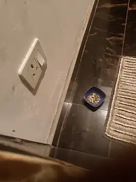 Snapshot of HootedTuner chatting on 13, 11, 2025 HootedTuner online show from 13, 11, 2025