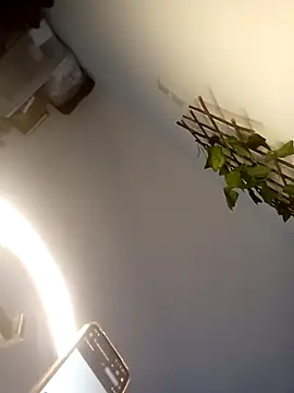 Loiroatv36 online show from 3, 4, 2026