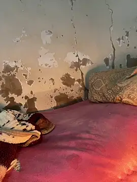 Snapshot of ParousFlow chatting on 2, 2, 2026 ParousFlow online show from 2, 2, 2026