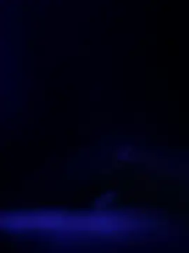 Snapshot of curis4270panda chatting on 19, 2, 2026 curis4270panda online show from 19, 2, 2026