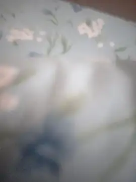 Tuyo12casa online show from 11, 11, 2025