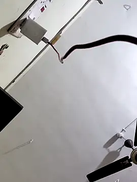 Snapshot of papukurty chatting on 7, 10, 2025 papukurty online show from 7, 10, 2025