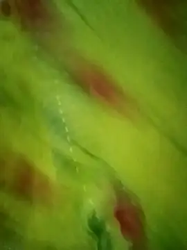 Shiya janu online show from 27, 10, 2025