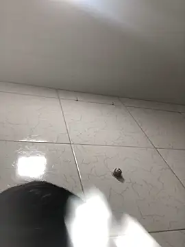 ksxxz online show from 12, 3, 2026