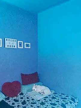 Noty bcn online show from 2, 11, 2025