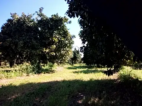 stefanoss321 online show from 9, 3, 2026